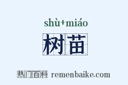 树苗是什么意思的图片